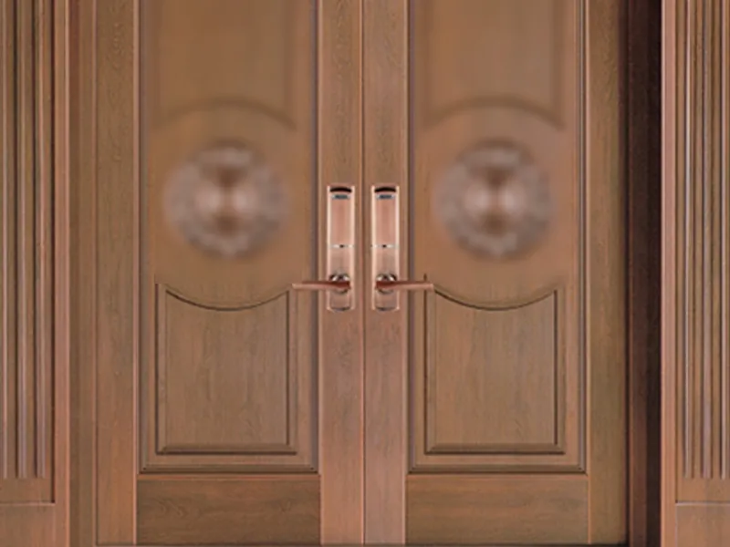 Copper Entry Doors